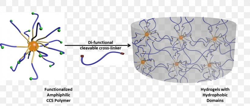 Hydrophobe Cross-link Amphiphile Star-shaped Polymer Hydrogel, PNG, 1157x492px, Watercolor, Cartoon, Flower, Frame, Heart Download Free