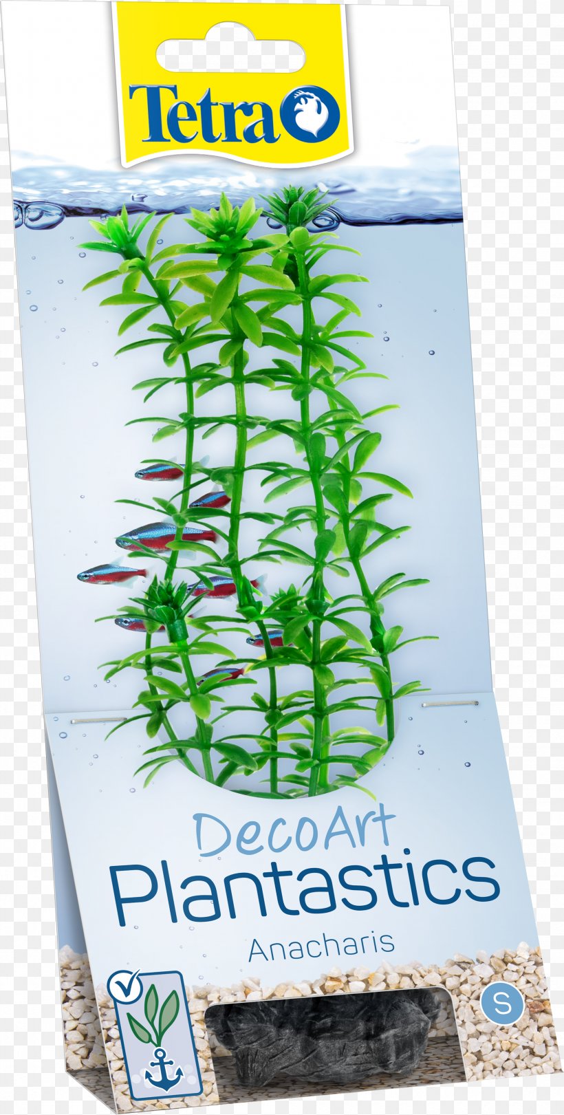 Aquariums Plant Fishkeeping Tetra, PNG, 1995x3946px, Aquarium, Aquarienpflanze, Aquarium Filters, Aquariums, Aquatic Plants Download Free