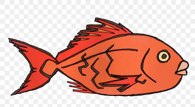 Cartoon Fish Science Biology, PNG, 1600x884px, Cartoon, Biology, Fish, Science Download Free