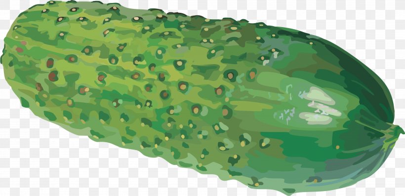 Cucumber Clip Art, PNG, 3715x1801px, Cucumber, Armenian Cucumber, Cucumber Gourd And Melon Family, Cucumis, Fruit Download Free