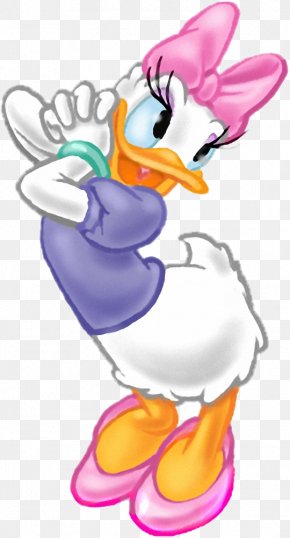 Donald Duck Daisy Duck Mickey Mouse Drawing, PNG, 585x799px, Donald ...