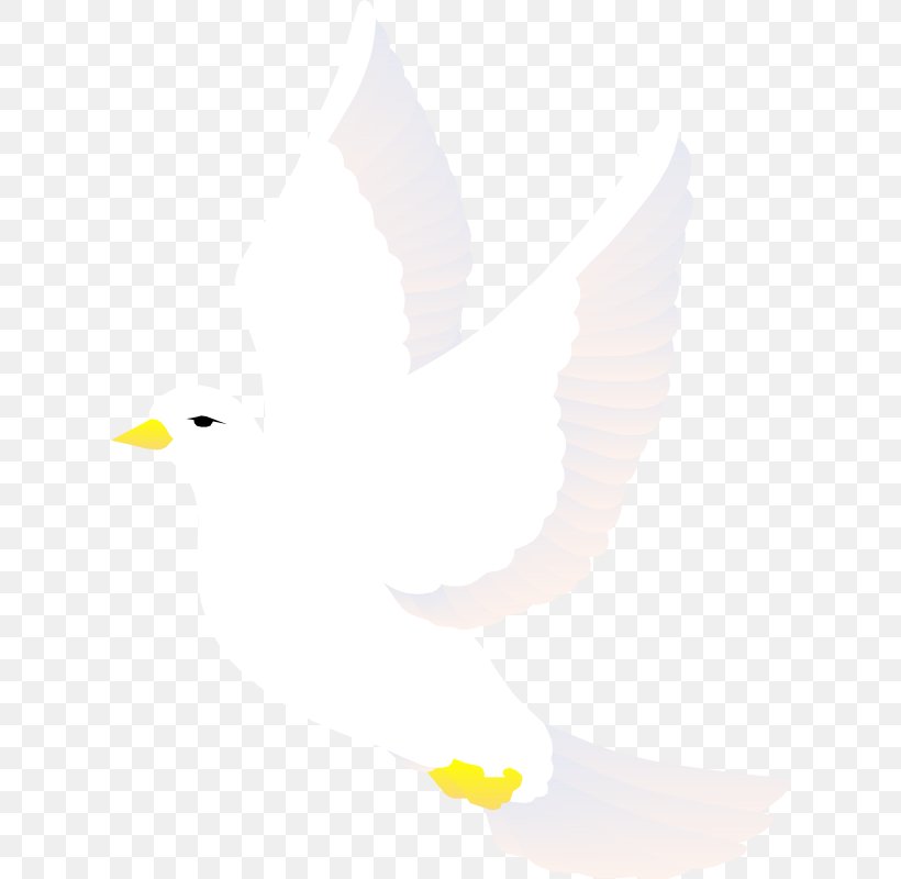 Dove Vector, PNG, 618x800px, Drawing, Art, Beak, Bird, Feather Download Free