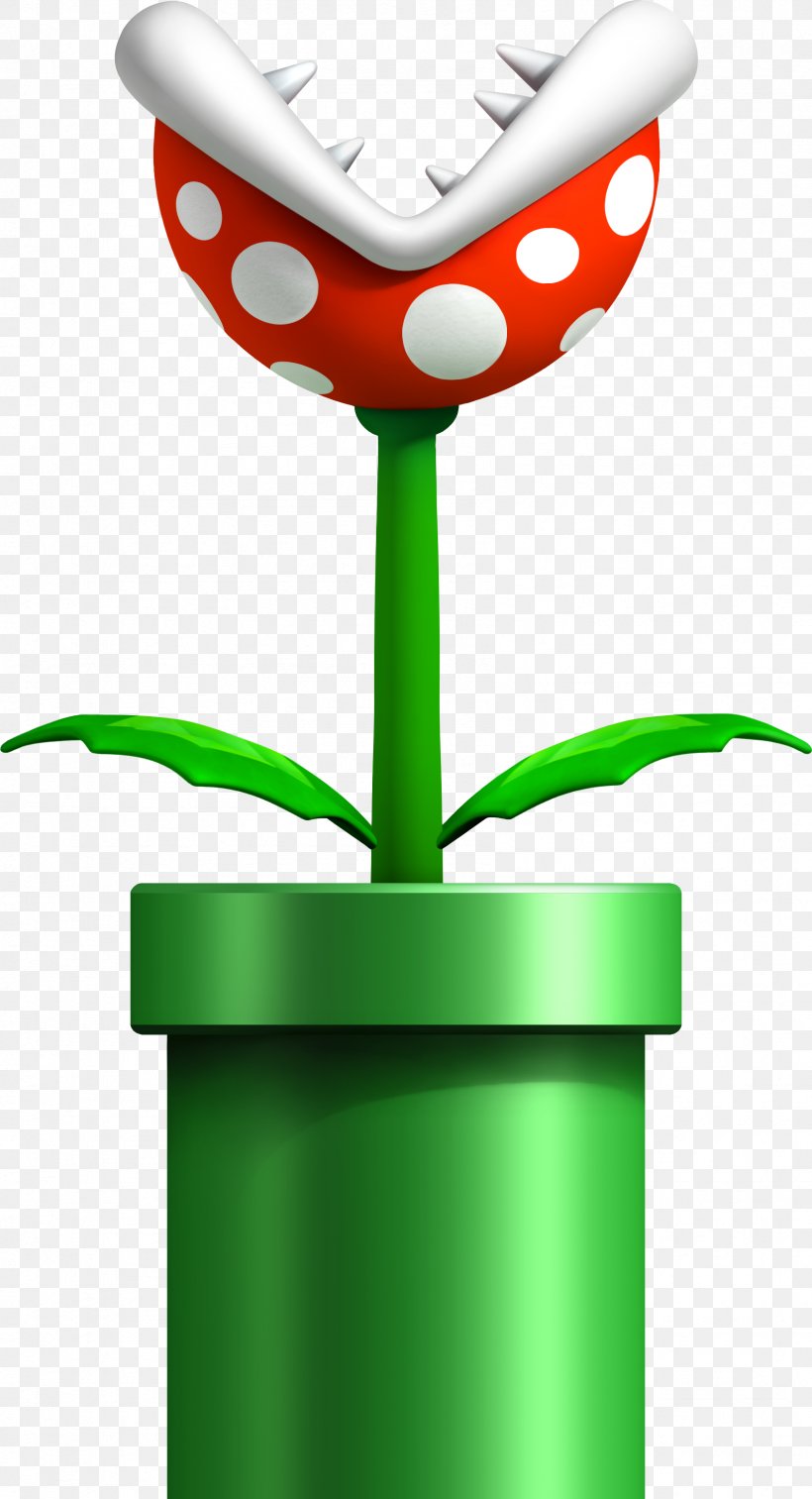 New Super Mario Bros. Wii New Super Mario Bros. Wii Super Mario Galaxy, PNG, 1688x3116px, Super Mario Bros, Flower, Flowerpot, Green, Lakitu Download Free