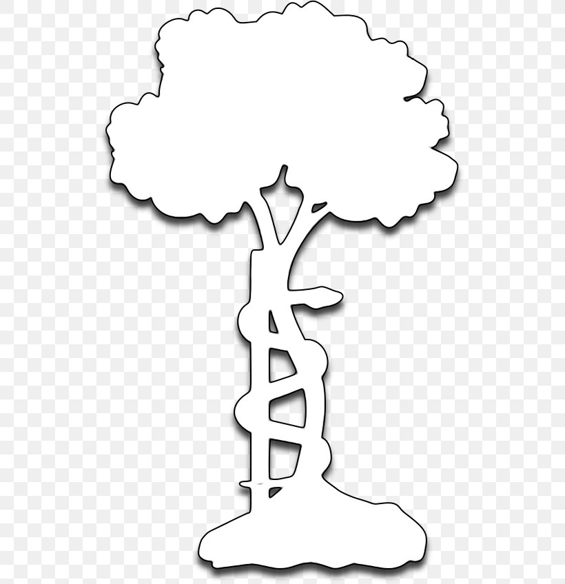 Tree Line Art White Clip Art, PNG, 533x848px, Tree, Area, Artwork, Black And White, Hand Download Free