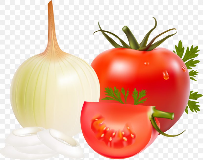 Vegetable Onion Drawing Fruit, PNG, 1500x1185px, Vegetable, Bell Pepper, Bush Tomato, Cherry Tomato, Cultivar Download Free