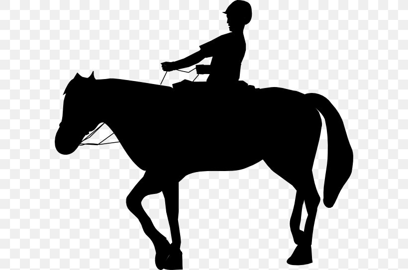 Horse Equestrian Vector Graphics Silhouette Clip Art, PNG, 600x543px, Horse, Animal Sports, Bridle, Cowboy, Drawing Download Free
