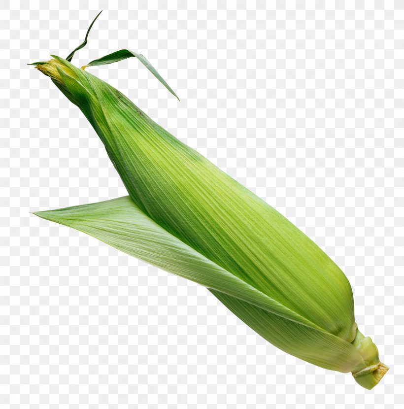 Popcorn Sweet Corn Corn Flakes Corn On The Cob, PNG, 2278x2308px, Popcorn, Commodity, Corn Flakes, Corn Kernel, Corn On The Cob Download Free