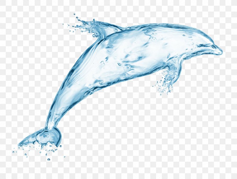Bottlenose Dolphin Whale Marine Mammal, PNG, 1000x757px, Bottlenose Dolphin, Cetacea, Creativity, Dolphin, Drawing Download Free