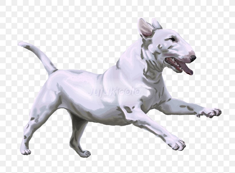 Bull Terrier Dog Breed Drawing Non-sporting Group, PNG, 800x603px, Bull Terrier, Breed, Carnivoran, Cerberus, Color Download Free