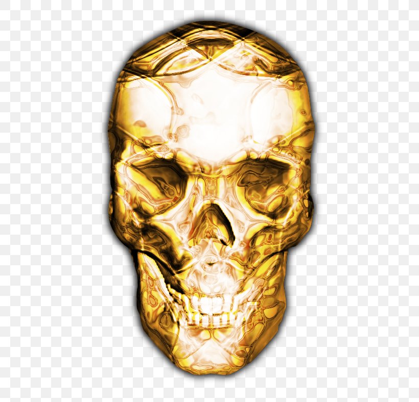 Crystal Skull Human Skeleton Jaw, PNG, 549x788px, Skull, Bone, Computer, Computer Software, Crystal Skull Download Free