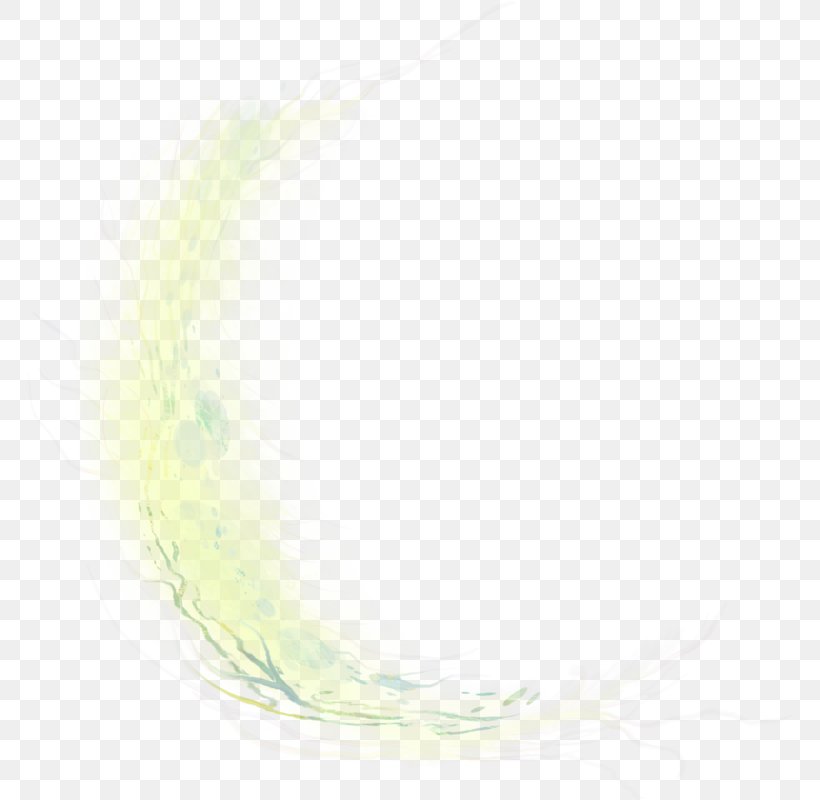 Feather, PNG, 766x800px, Feather, Grass, Green, Organism Download Free