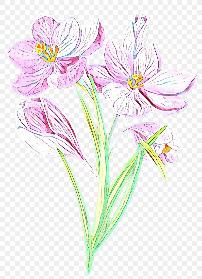 /m/02csf Cut Flowers Drawing Plant Stem Illustration, PNG, 1699x2349px, M02csf, Botany, Crinum, Cut Flowers, Drawing Download Free