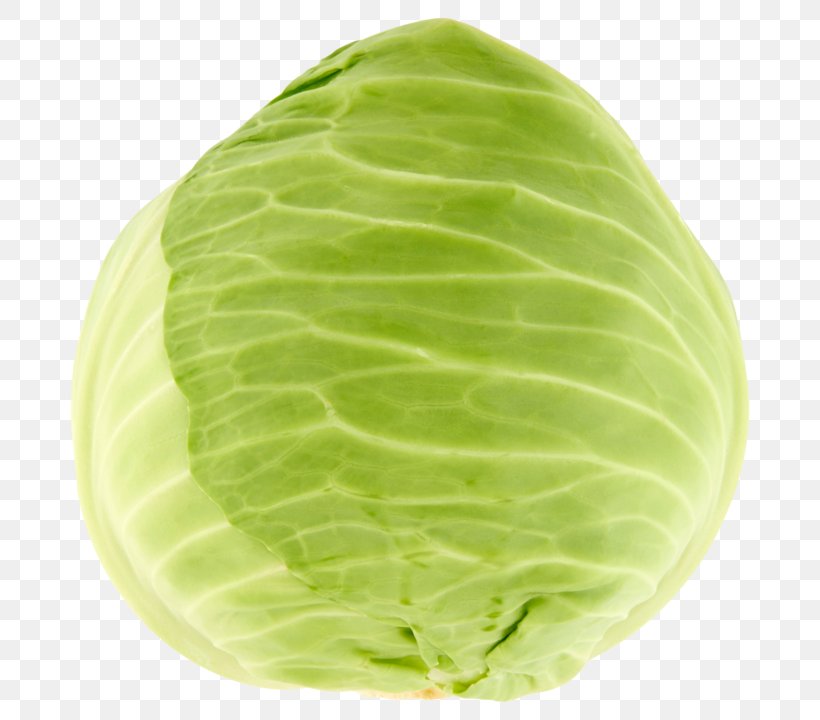 Savoy Cabbage White Cabbage Cruciferous Vegetables Collard Greens Spring Greens, PNG, 720x720px, Savoy Cabbage, Brassica Oleracea, Cabbage, Collard Greens, Cruciferous Vegetables Download Free
