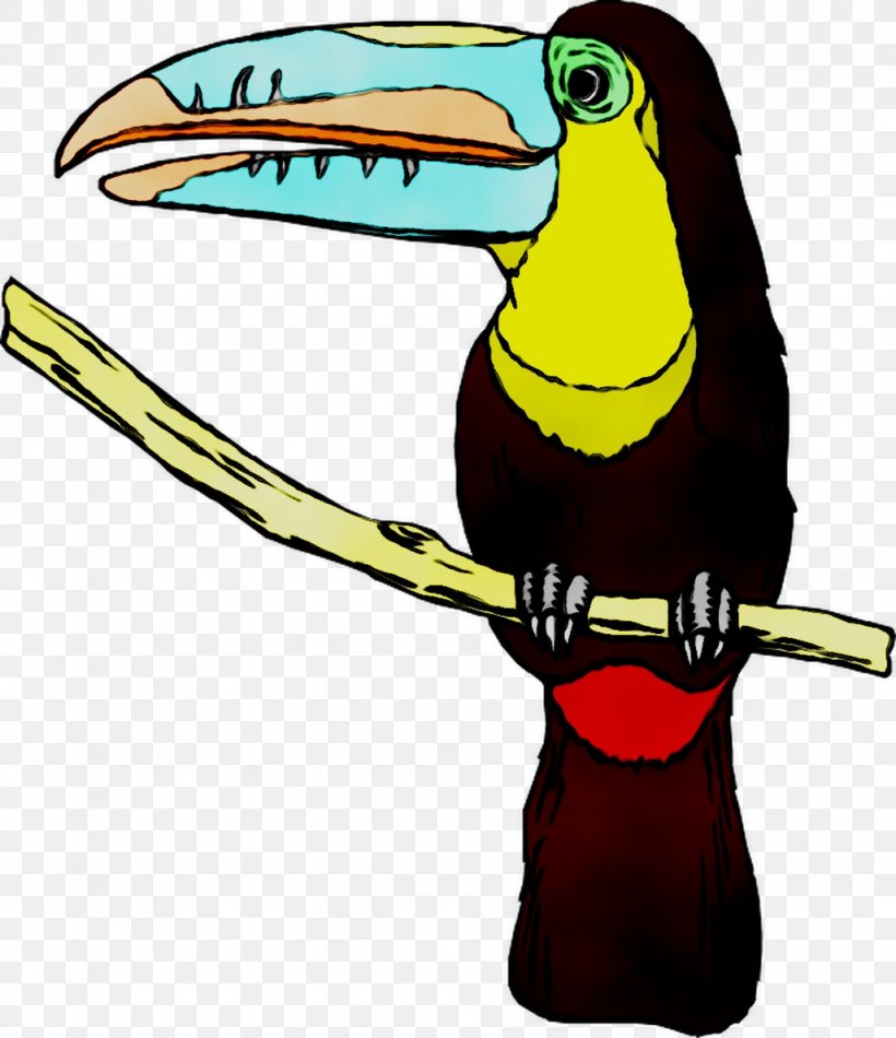 Toucan Clip Art Beak Cartoon Fauna, PNG, 1026x1189px, Toucan, Beak, Bird, Cartoon, Coraciiformes Download Free