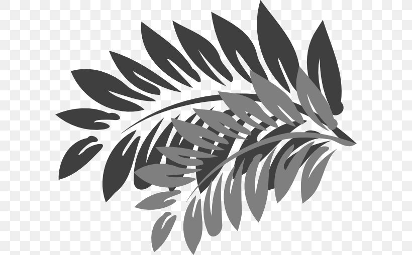 Branch Leaf Clip Art, PNG, 600x508px, Branch, Art, Black And White, Flowering Plant, Hibiscus Tea Download Free