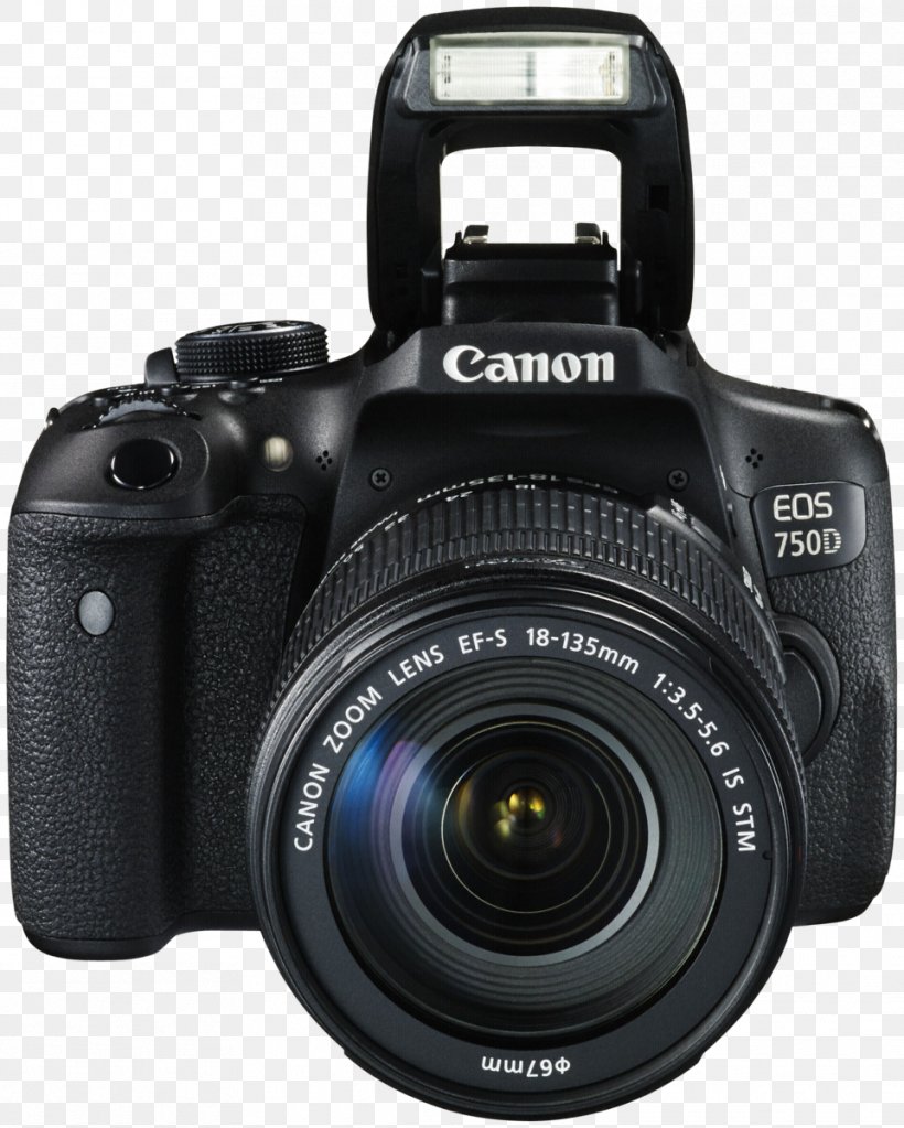 Canon EOS 80D Canon EOS 750D Canon EF-S 18–135mm Lens Canon EF-S Lens Mount Canon EOS 70D, PNG, 961x1200px, Canon Eos 80d, Camera, Camera Accessory, Camera Flashes, Camera Lens Download Free