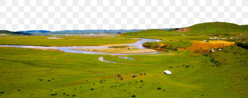 Water Resources Ecoregion Nature Reserve Land Lot Grassland, PNG, 1200x475px, Water Resources, Ecoregion, Ecosystem, Field, Grass Download Free