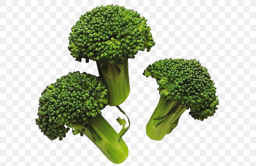 Broccoli Vegetable Cabbage, PNG, 600x533px, Broccoli, Broccoflower, Cabbage, Cauliflower, Cooking Download Free