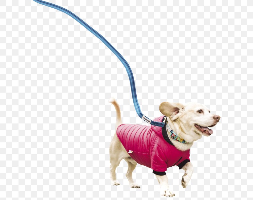 Dog Breed Leash Snout, PNG, 640x648px, Dog Breed, Breed, Carnivoran, Dog, Dog Like Mammal Download Free