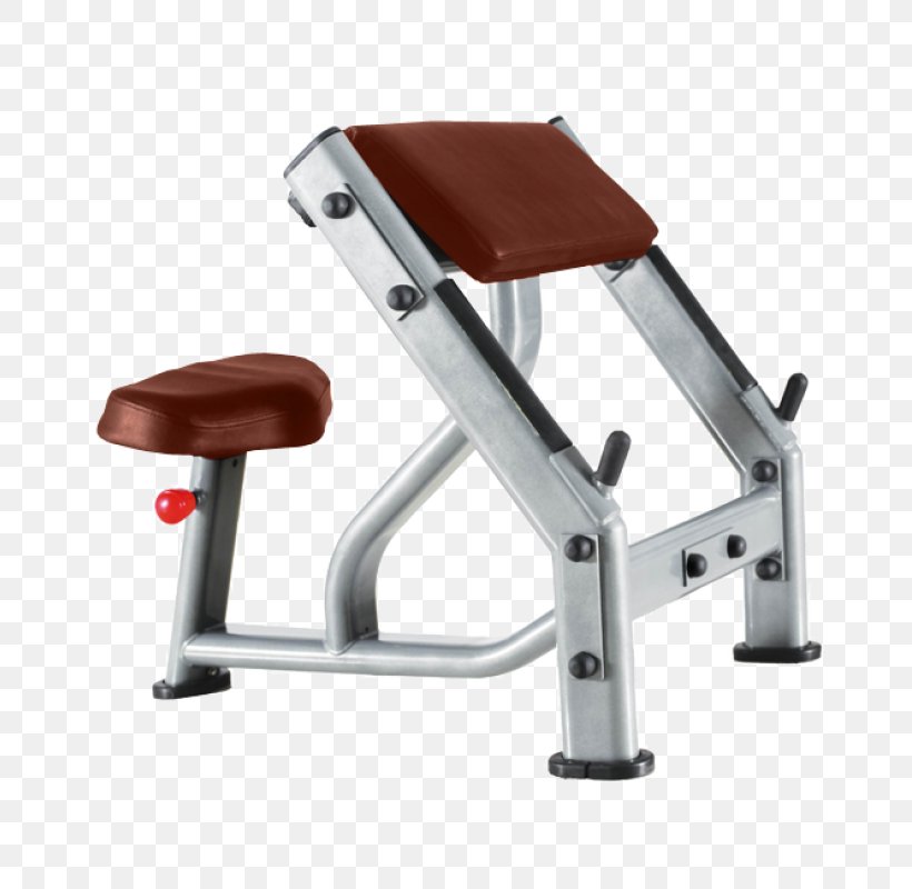 Exercise Machine Sport Biceps Curl Fitness Centre, PNG, 800x800px, Exercise Machine, Bench, Biceps Curl, Bronze Gym, Crunch Download Free
