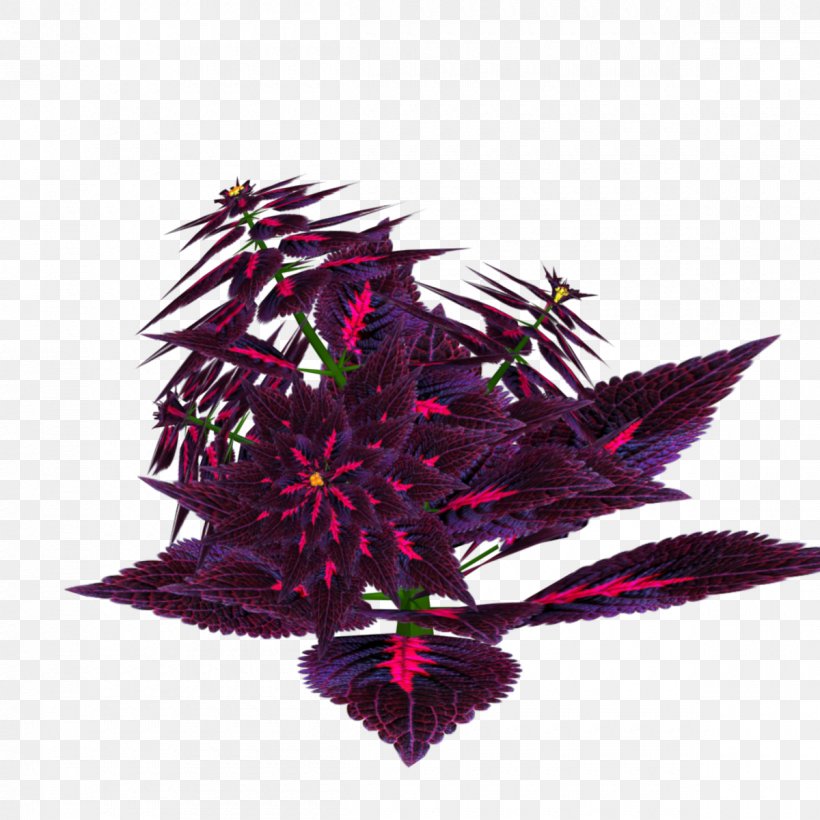 Leaf Purple, PNG, 1200x1200px, Leaf, Magenta, Plant, Purple Download Free