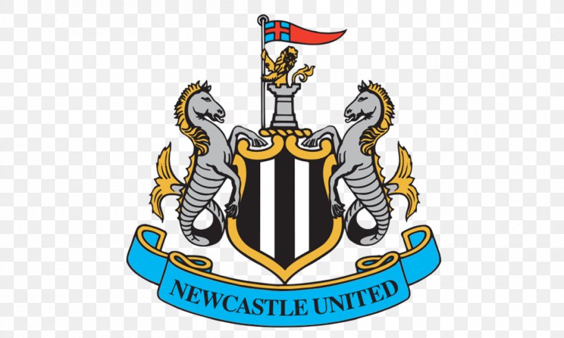 Newcastle United F.C. Under 23 St James' Park 2018–19 Premier League Logo, PNG, 1000x600px, Newcastle United Fc, Brand, Crest, Football, Football Player Download Free