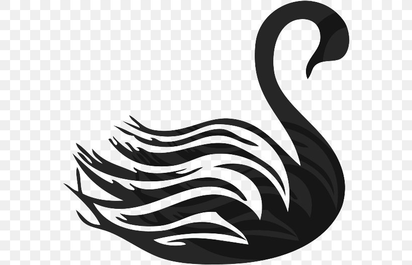 Bird Logo, PNG, 572x529px, Black Swan, Animal, Bird, Black And White, Blackandwhite Download Free