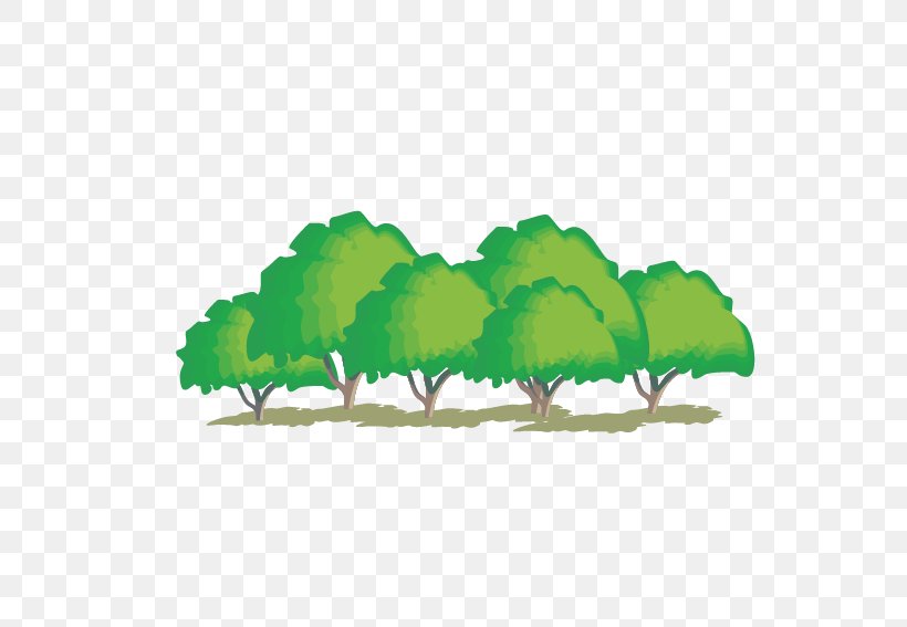 Cartoon Trees, PNG, 567x567px, Shulin District, Chronic Condition, Data, Disease, Grass Download Free