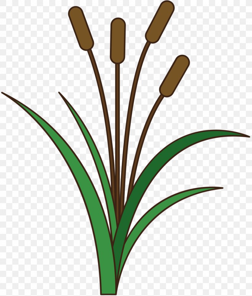 Clip Art Grasses Plant Stem Leaf Line, PNG, 1347x1581px, Grasses, Botany, Flower, Flowering Plant, Flowerpot Download Free