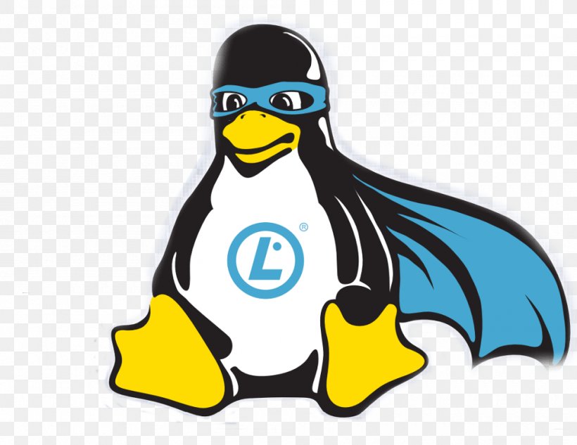 Linux Kernel Tux Linux Distribution Debian, PNG, 1000x773px, Linux, Artwork, Beak, Bird, Computer Software Download Free