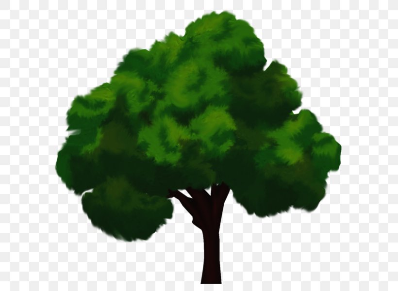 Tree High-definition Television Clip Art, PNG, 600x600px, Tree, Animation, Color, Green, Highdefinition Television Download Free
