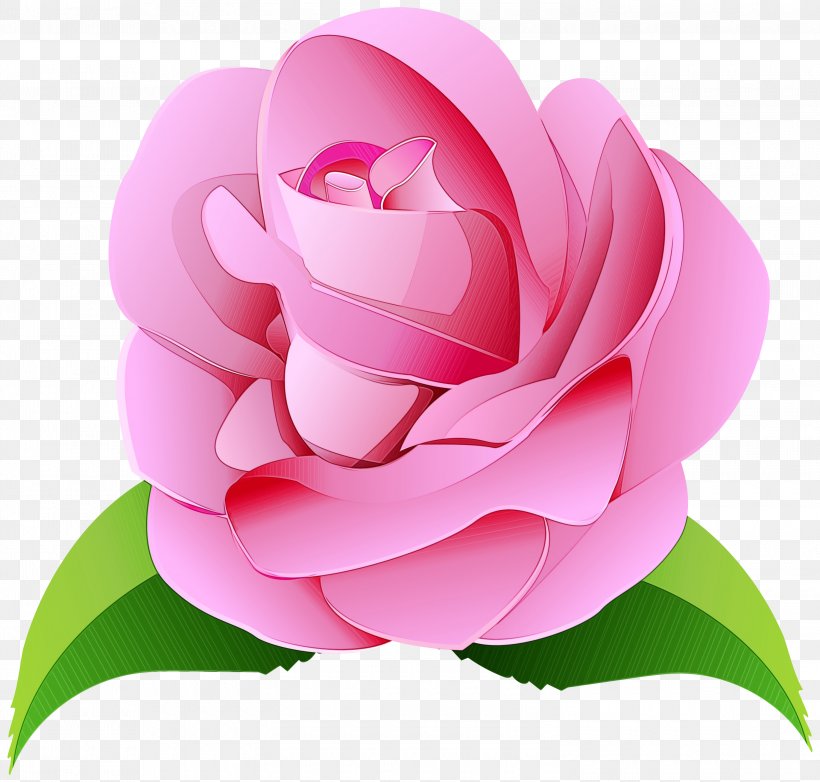 Garden Roses, PNG, 3000x2861px, Watercolor, Camellia, Cut Flowers, Floral Design, Flower Download Free