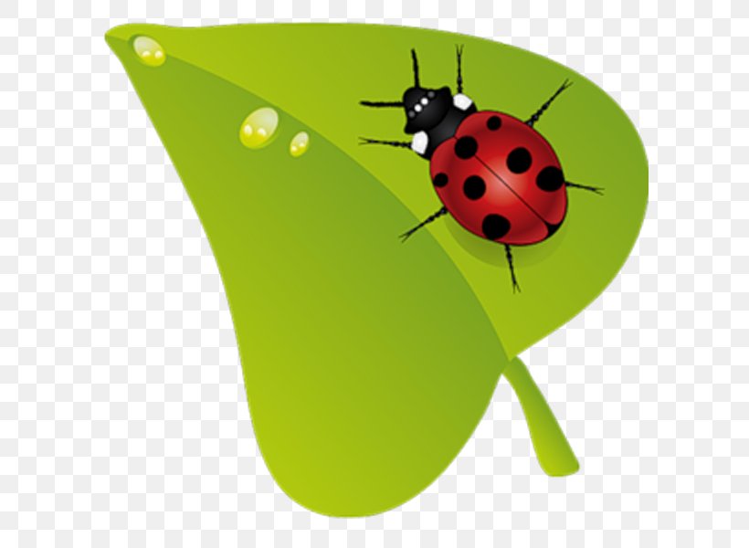 Beruu0161ky Insect Clip Art, PNG, 600x600px, Insect, Animal, Beetle, Fruit, Green Download Free