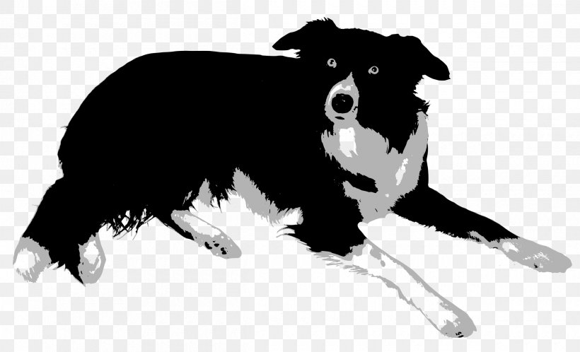 Border Collie Rough Collie Bearded Collie Old English Sheepdog Central Asian Shepherd Dog, PNG, 2400x1459px, Border Collie, Bearded Collie, Black, Black And White, Breed Download Free