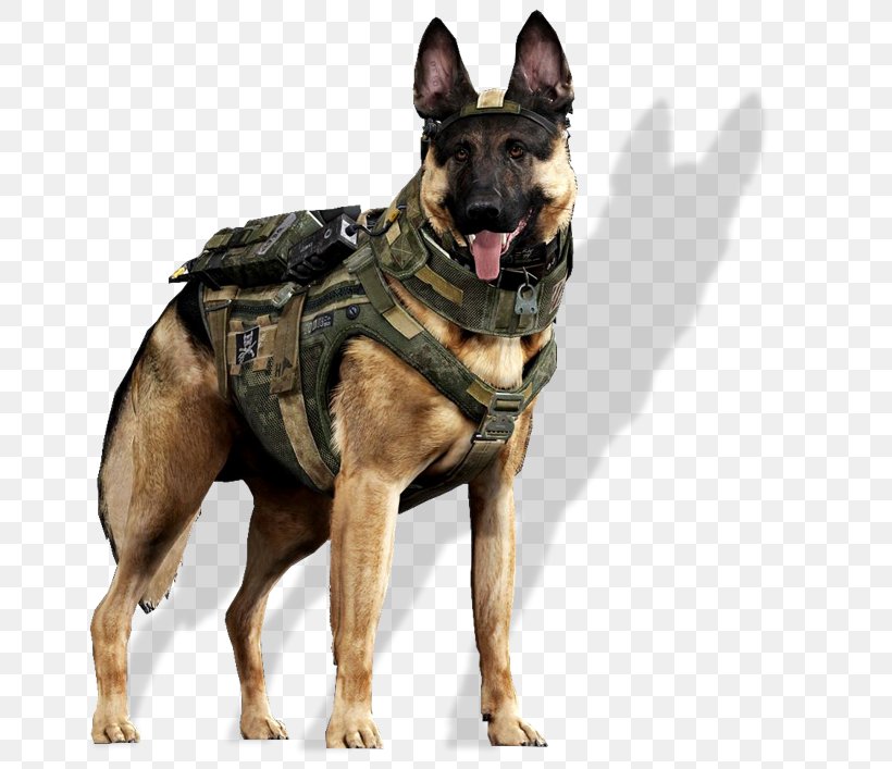 Call Of Duty: Ghosts German Shepherd Great Dane Malinois Dog Labrador Retriever, PNG, 772x707px, Call Of Duty Ghosts, Belgian Shepherd Malinois, Call Of Duty, Carnivoran, Companion Dog Download Free