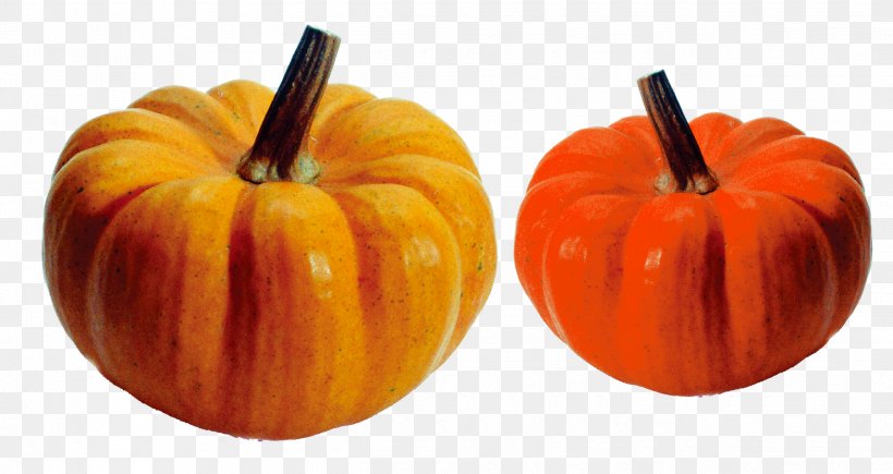 Crookneck Pumpkin Vegetable Turban Squash Auglis, PNG, 2496x1325px, Pumpkin, Auglis, Calabaza, Carotene, Carrot Download Free