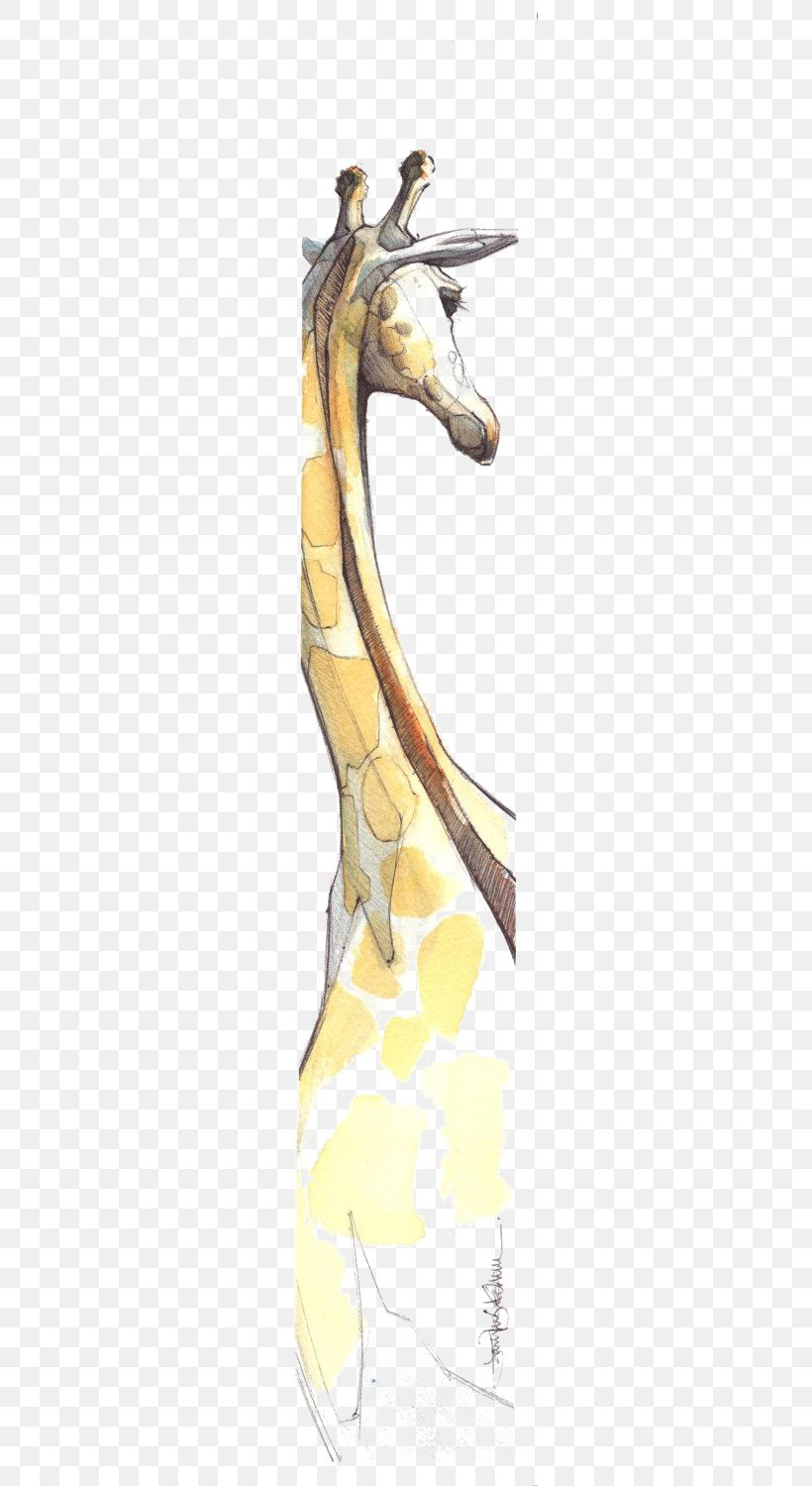 Drawing Watercolor Painting Northern Giraffe Illustration, PNG, 266x1500px, Drawing, Art, Creativity, Giraffe, Hand Download Free