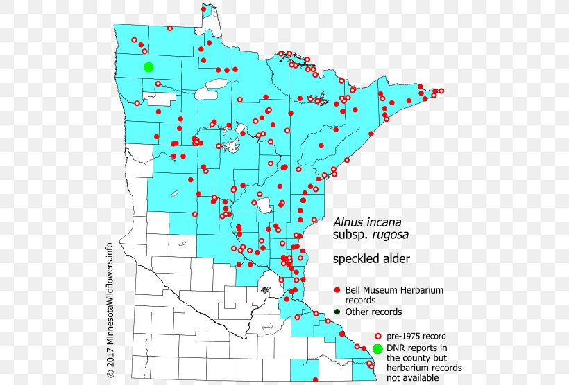 Line Point Map Organism Tuberculosis, PNG, 521x556px, Point, Area, Diagram, Map, Organism Download Free