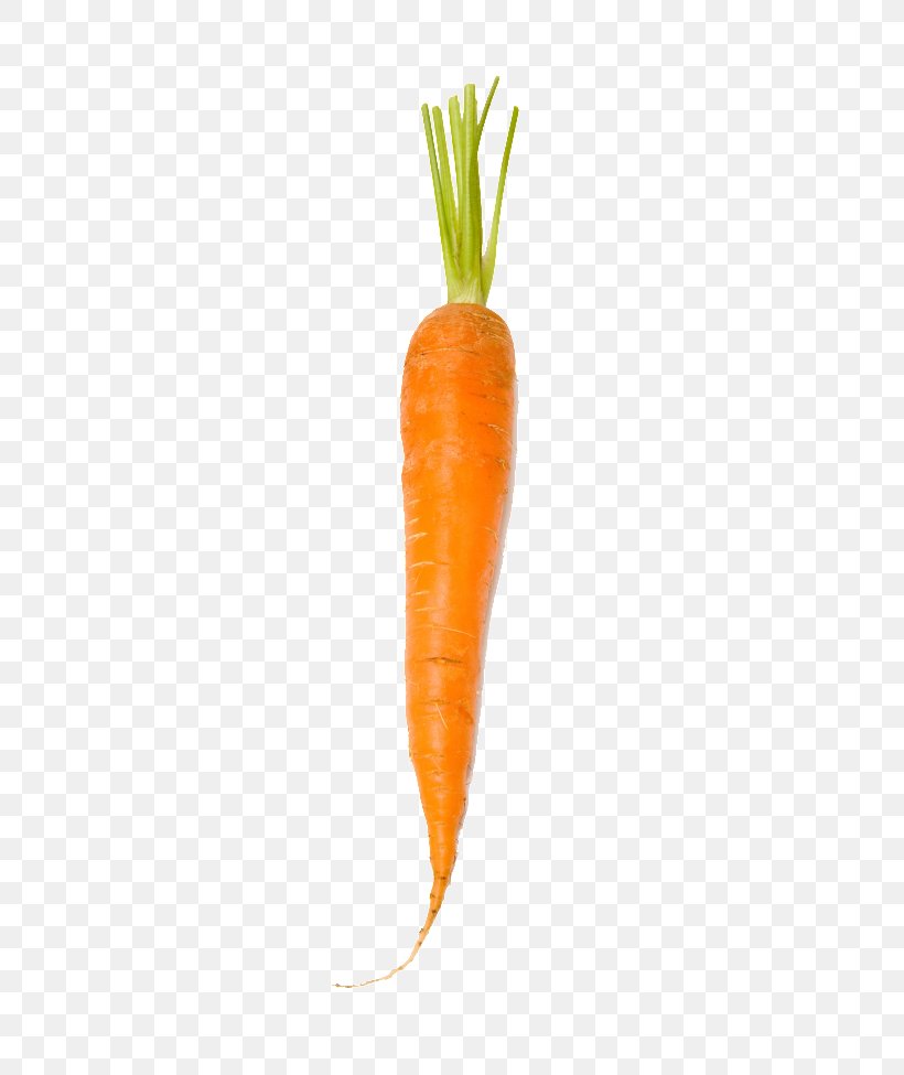 Baby Carrot Orange, PNG, 650x975px, Baby Carrot, Carrot, Food, Orange, Vegetable Download Free