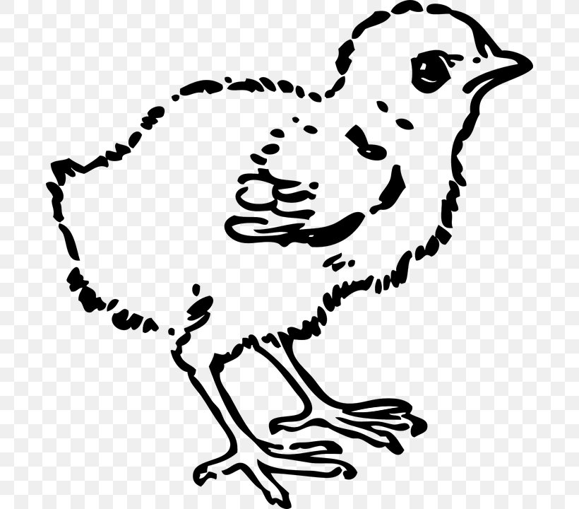 Chicken Clip Art, PNG, 690x720px, Chicken, Art, Artwork, Beak, Bird Download Free