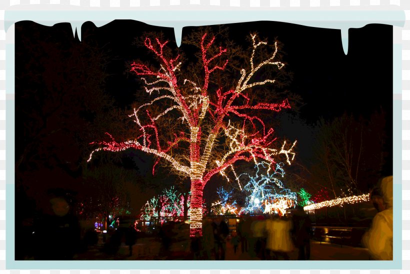Christmas Lights Lighting Tree, PNG, 1836x1228px, Christmas Lights, Business, Calgary, Christmas, Christmas Decoration Download Free