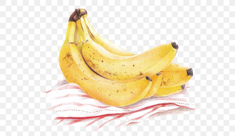 Cooking Banana Peel, PNG, 580x476px, Banana, Banana Family, Cooking, Cooking Banana, Cooking Plantain Download Free