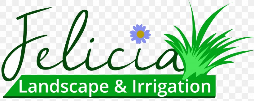 Grasses Logo Plant Stem Leaf Font, PNG, 2381x950px, Grasses, Area, Brand, Family, Flora Download Free