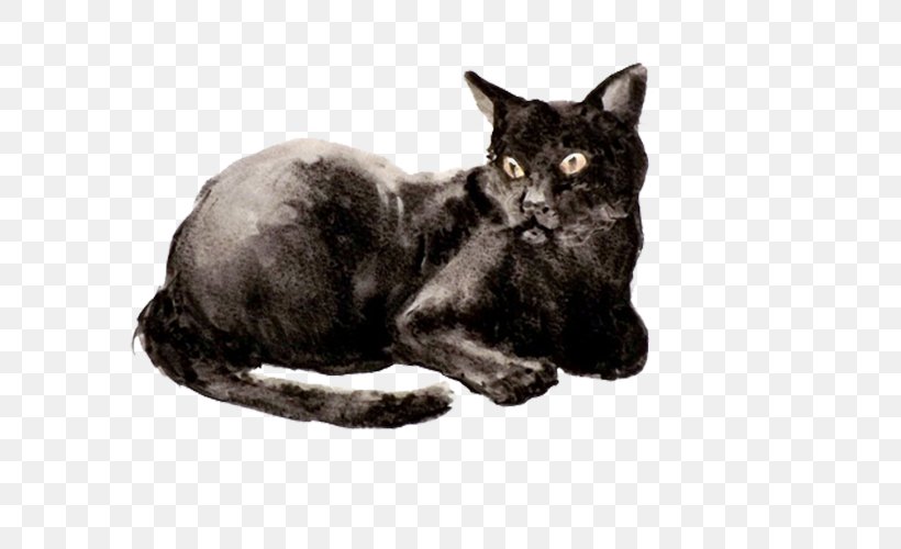 Korat Bombay Cat European Shorthair Havana Brown Burmese Cat, PNG, 649x500px, Korat, American Shorthair, American Wirehair, Asian, Black And White Download Free