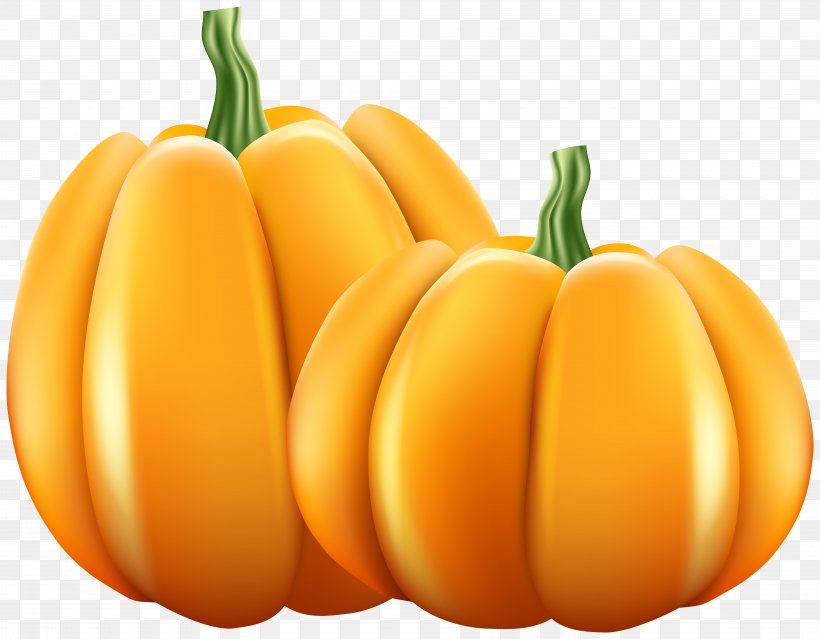 Pumpkin Gourd Clip Art Image, PNG, 8000x6238px, Pumpkin, Banana Family, Calabaza, Commodity, Cucumber Gourd And Melon Family Download Free