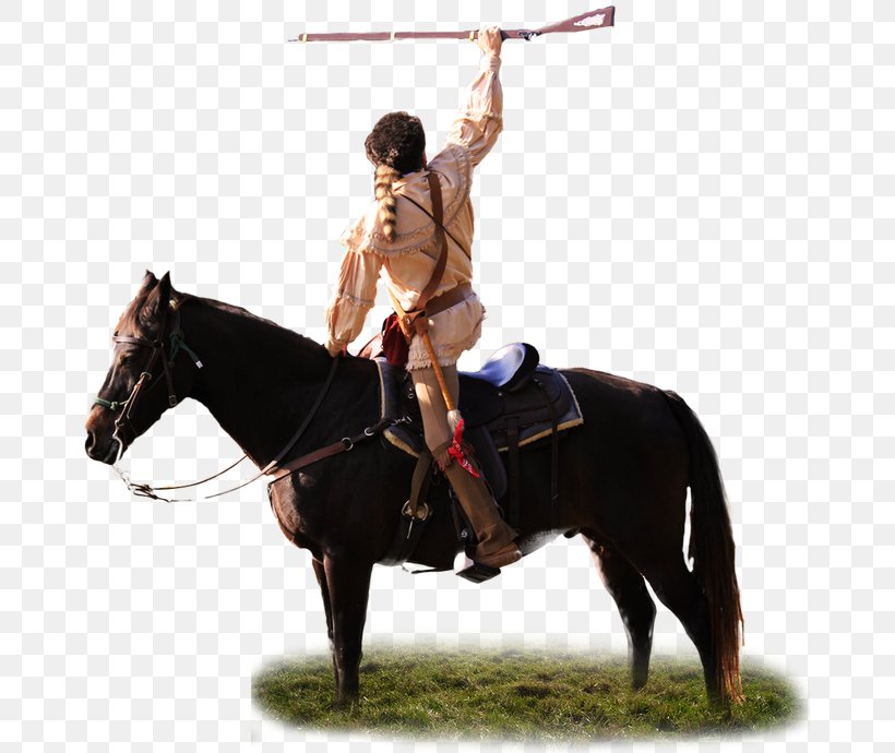 Western Pleasure Horse Equestrian Stallion Rein, PNG, 768x690px, Western Pleasure, Animal Sports, Bridle, Cowboy, Davy Crockett Download Free