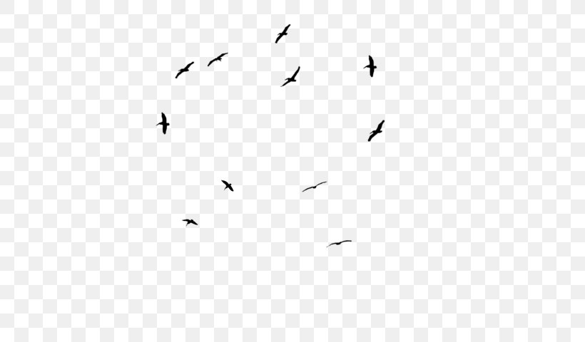 Bird Migration White Point Angle, PNG, 724x480px, Bird Migration, Animal Migration, Area, Beak, Bird Download Free