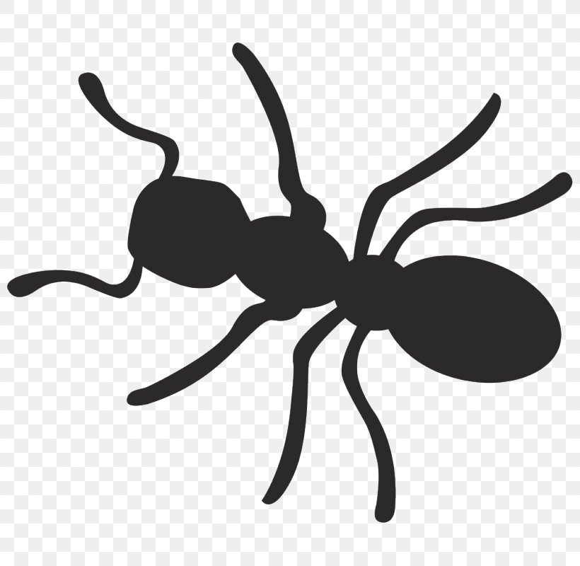 Ant Insect Termite Red Fox Clip Art, PNG, 800x800px, Ant, Arthropod, Artwork, Black And White, Cerium Download Free