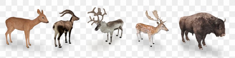 Antelope Zoo Tycoon 2 Deer Bison Bonasus, PNG, 1200x300px, Antelope, Animal, Animal Figure, Antler, Bison Bonasus Download Free
