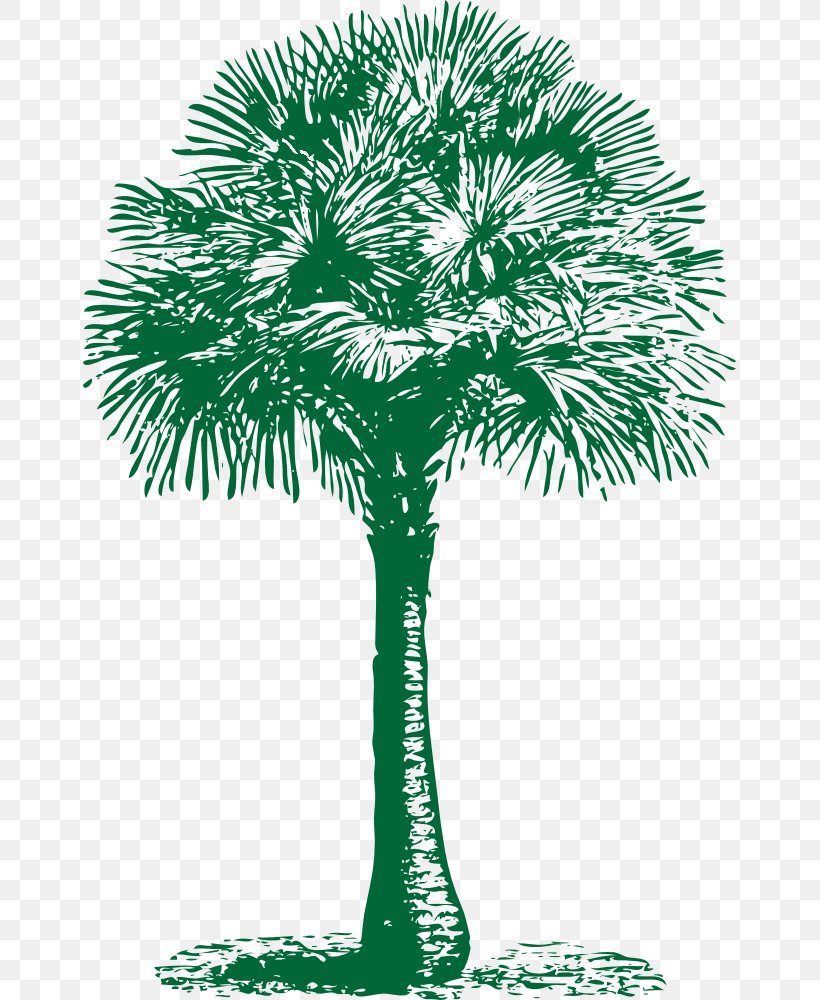 Arecaceae Clip Art, PNG, 653x1000px, Arecaceae, Arecales, Art, Asian Palmyra Palm, Borassus Flabellifer Download Free